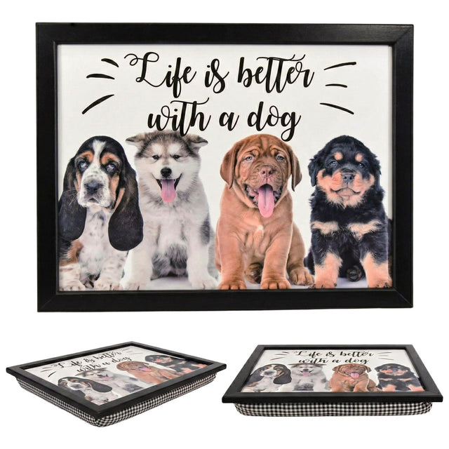 A framed wall art featuring a playful dog quote "Life is better with a dog" surrounded by a playful dog illustration. - UKBuyZone
