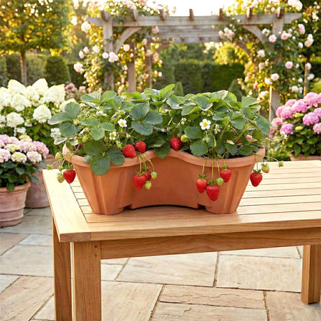 Two stackable planters filled with fresh strawberries, placed on a wooden patio in front of a neatly maintained garden with pink and white flowers. - UKBuyZone
