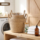 Set of 3 Wicker Planters with Handles