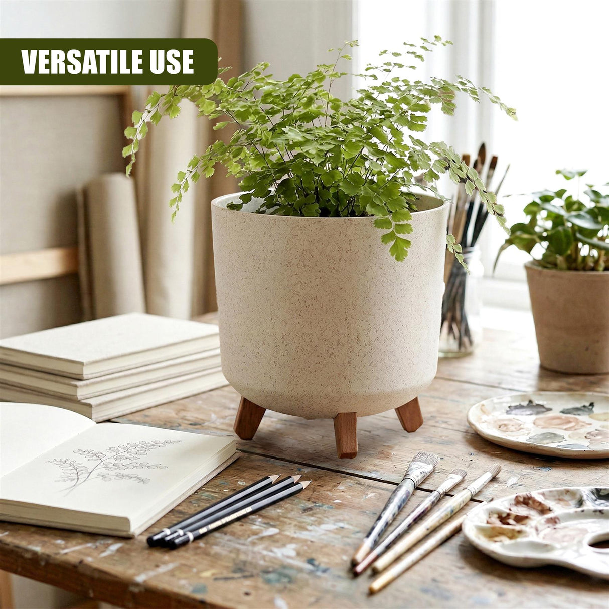 A potted green plant sits in a beige ceramic pot on a textured wooden table with art supplies.
