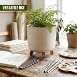 A potted green plant sits in a beige ceramic pot on a textured wooden table with art supplies.