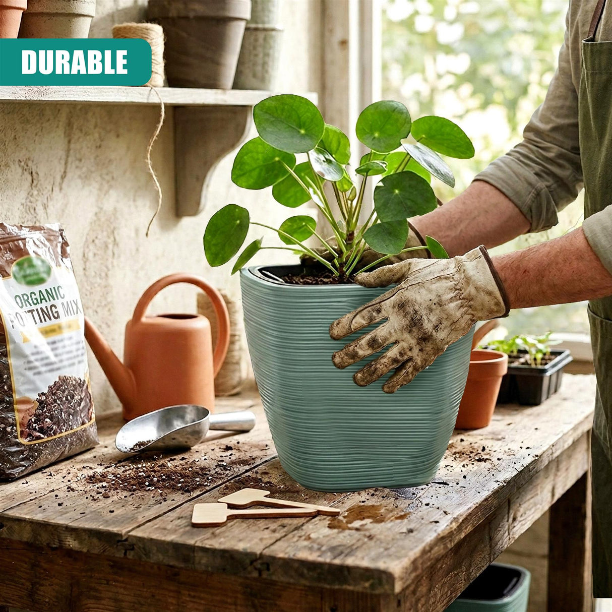 Hands potting a lush plant into a striped teal pot on a rustic wooden workbench.