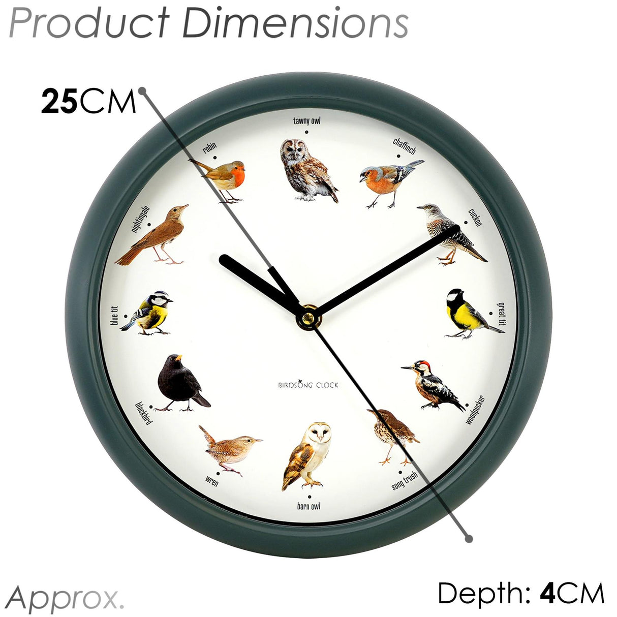 Birdsong Wall Clock with 12 Songs