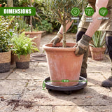 A plant pot resting on a round, wheeled plant caddy situated on stone patio tiles.