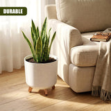 White cylindrical flower pot with small wooden legs holds a vibrant green snake plant on a wooden floor.