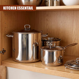Arian Gastro Stock Pot - 17 L