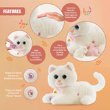 Interactive Plush Cat with 2 Kittens and Sounds by The Magic Toy Shop - UKBuyZone