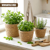 Three woven wicker planters hold fresh herbs like mint, basil, and rosemary on a kitchen counter.