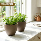 Two brown oval pots filled with lush green plants sit on a light kitchen countertop near a window.