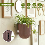 Dark brown ribbed planter holding a leafy green plant mounted on a wall near framed pictures.