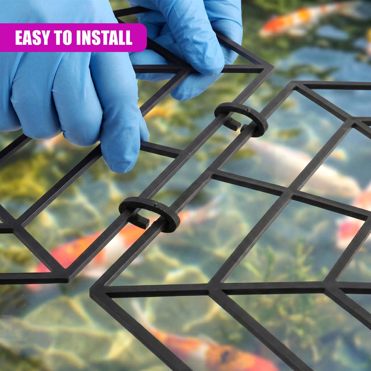 Hands in blue gloves place a grid pond protector into the water.