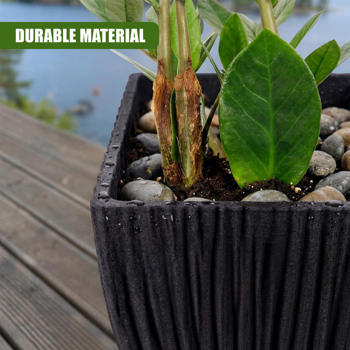 Black square planter holds a lotus plant, soil, and small decorative pebbles.