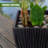 Black square planter holds a lotus plant, soil, and small decorative pebbles.
