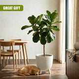White Flower Pot with Legs, 39.5 cm