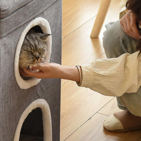 "Person feeding cat from house in a cozy living room setting." - UKBuyZone