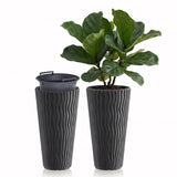 A vibrant green indoor plant housed in a tall, ribbed pot next to a matching empty container.
