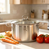Stainless Steel Stock Pot with Glass Lid - 9 L