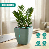 A potted green plant sits in a vertically ribbed, square, light teal flower planter displayed on a wooden surface.