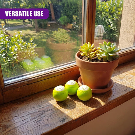 Three perforated green balls and a small potted succulent sit on a wooden windowsill.