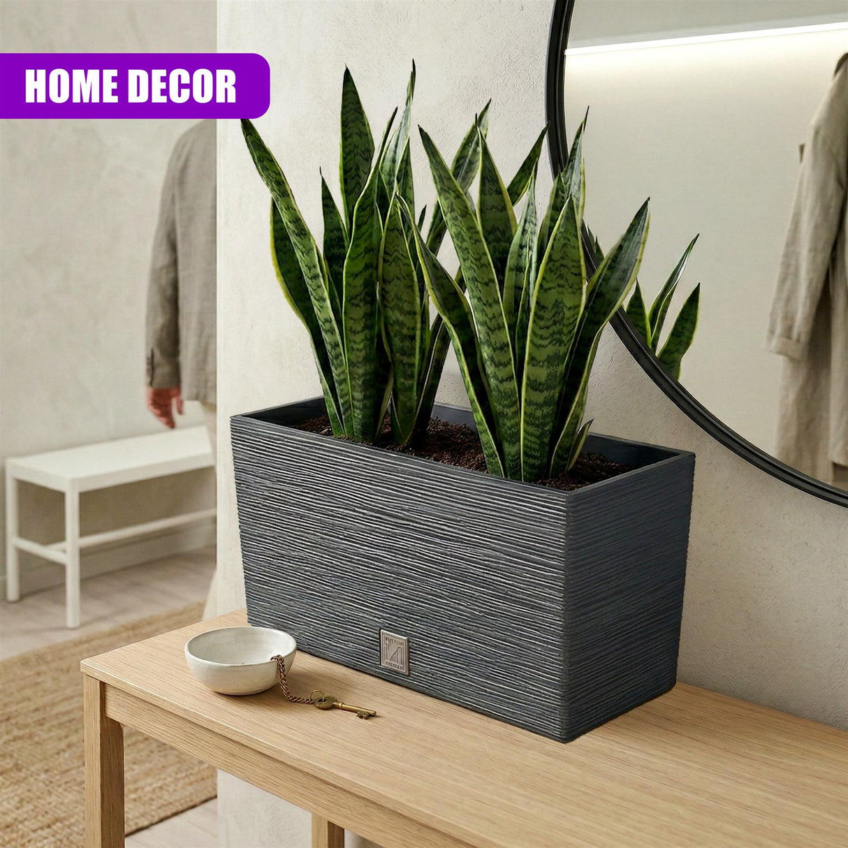 Rectangular dark grey planter containing several vibrant, tall snake plants placed on a light wood table.