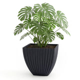 Lush green tropical plant foliage displayed in a square, ribbed charcoal black planter.