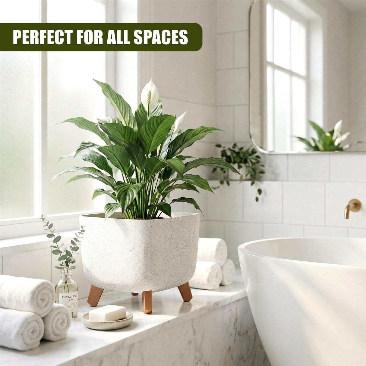 Off-white planter pot featuring wooden legs, housing a large, healthy green foliage houseplant.