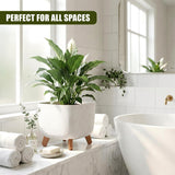 Off-white planter pot featuring wooden legs, housing a large, healthy green foliage houseplant.