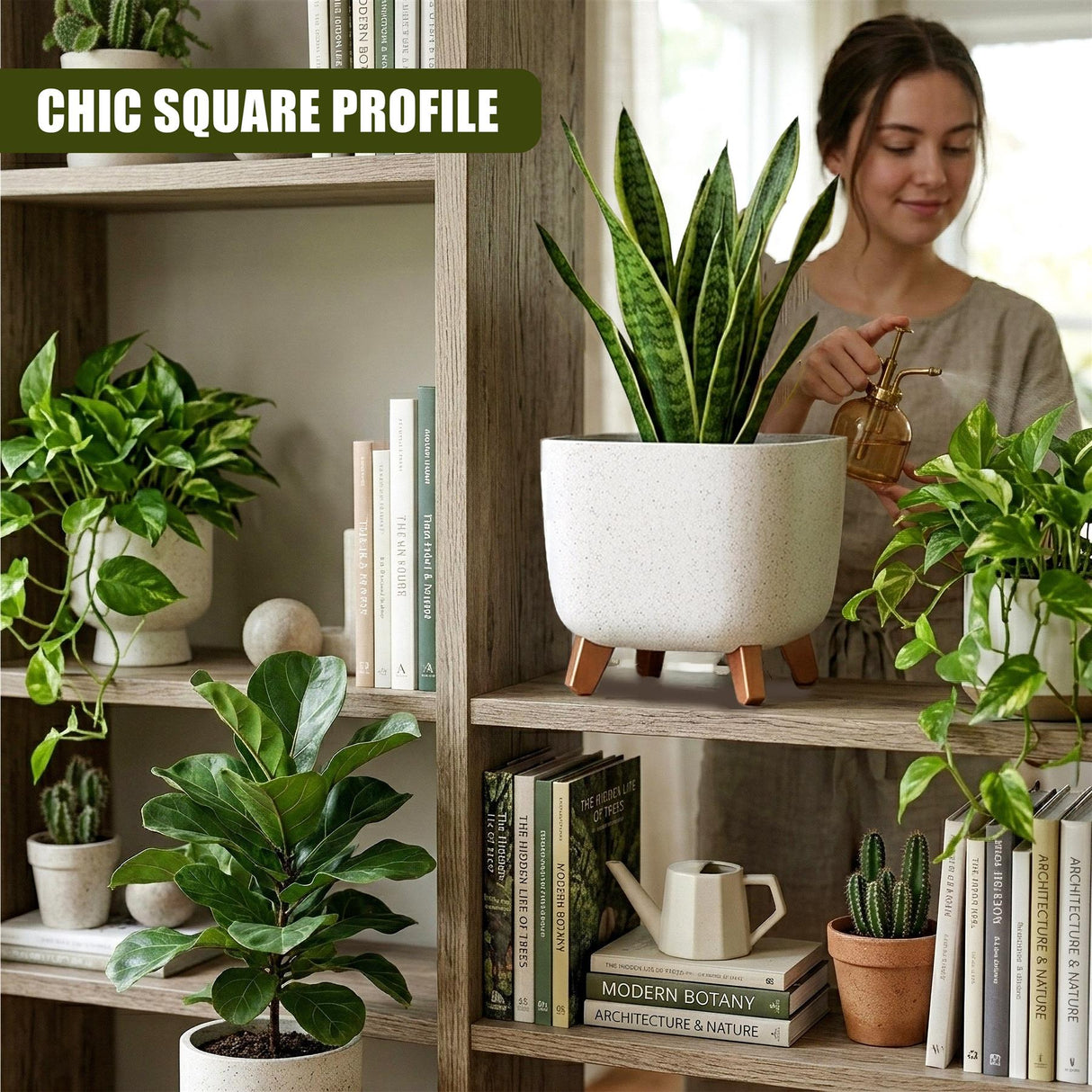 Cream-colored potted plant with legs displaying a tall, green snake plant on a wooden shelf.