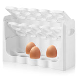 White plastic tray with 2 eggs on grid display.