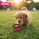 3 in 1 Collapsible Pet Food Scoop