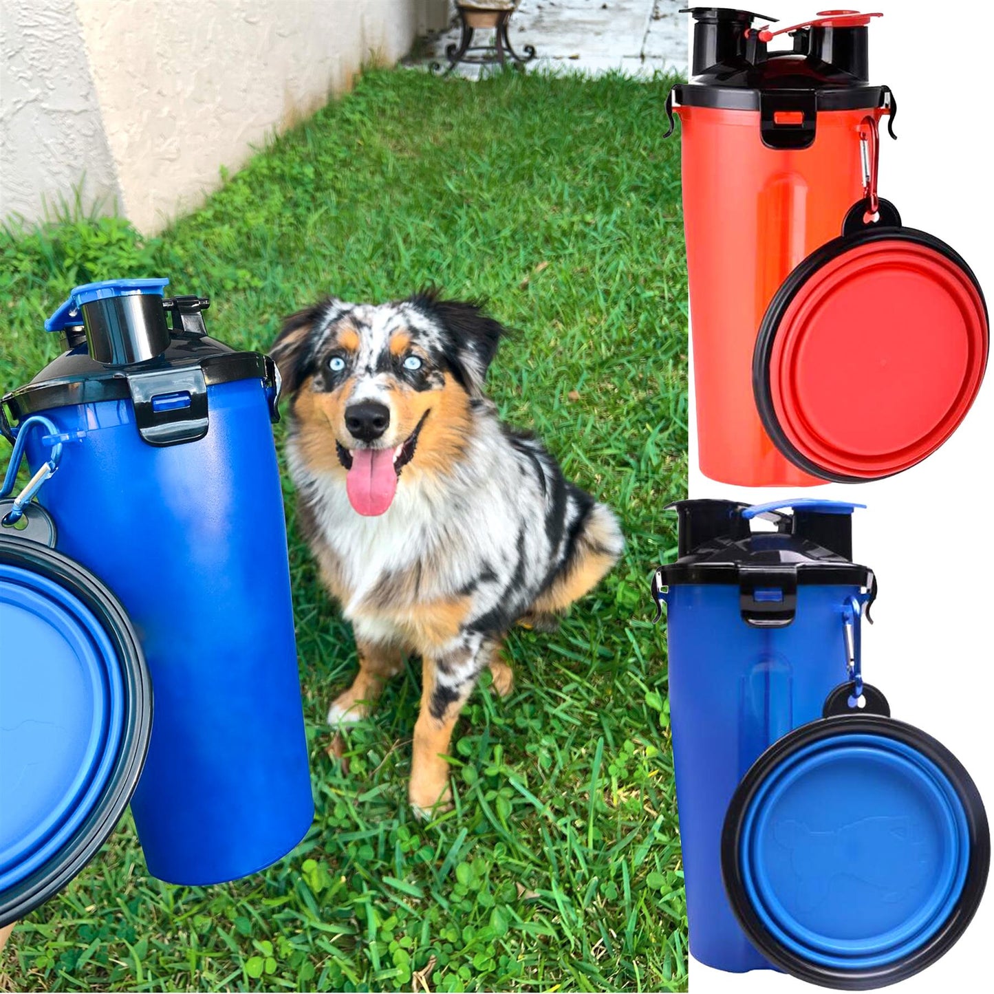 Foldable Bowl and Water Bottle Set for Pets by Geezy - UKBuyZone