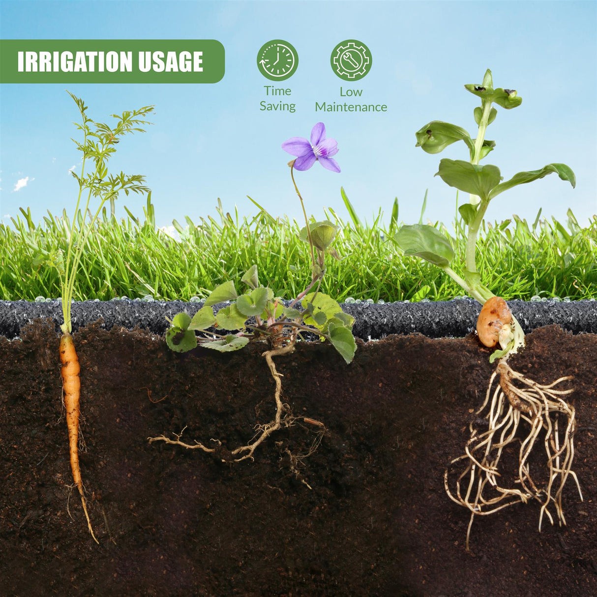 Irrigated plants growing in soil - UKBuyZone