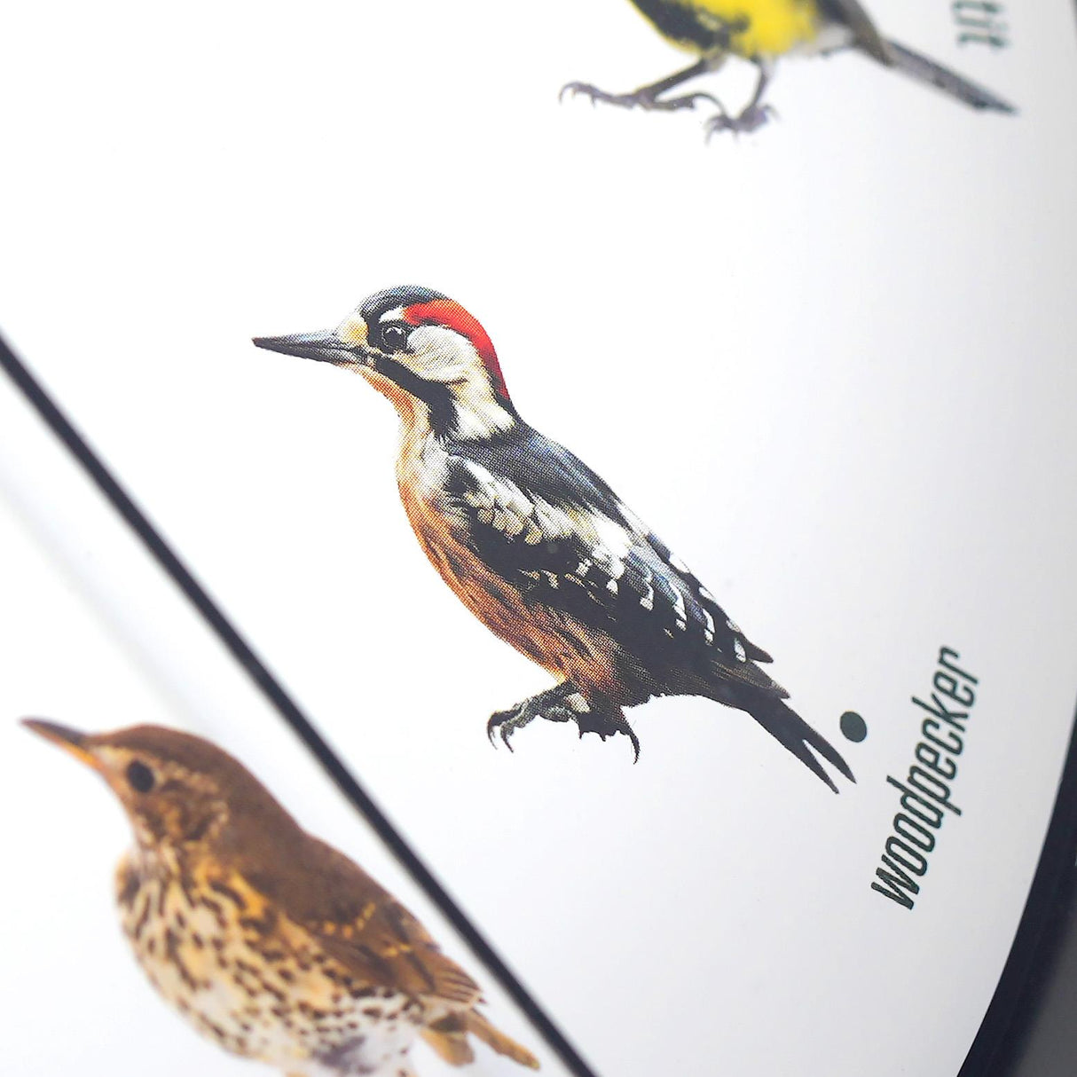 Birdsong Wall Clock with 12 Songs