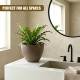 Potted green plant in a matte, neutral-colored oval pot on a white marble bathroom counter.
