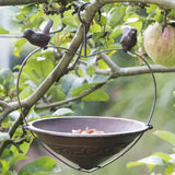 Rustic Cast Iron Hanging Bird Feeder by GEEZY - UKBuyZone