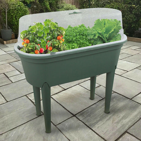 Green Colour Greenhouse Table With Lid by Geezy - UKBuyZone