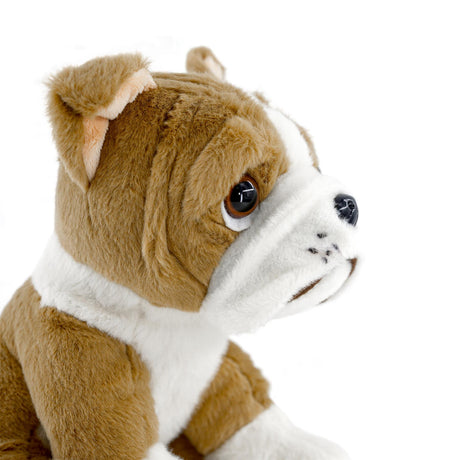 Small Sitting English Bulldog Soft Toy by The Magic Toy Shop - UKBuyZone