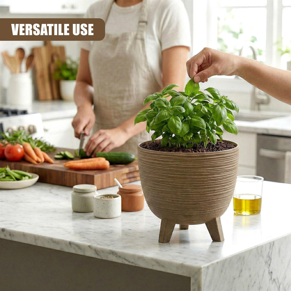 Textured brown flower pot with short legs, holding a vibrant green leafy herb plant on a counter.