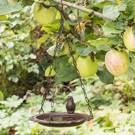 Hanging Bird Bath by GEEZY - UKBuyZone