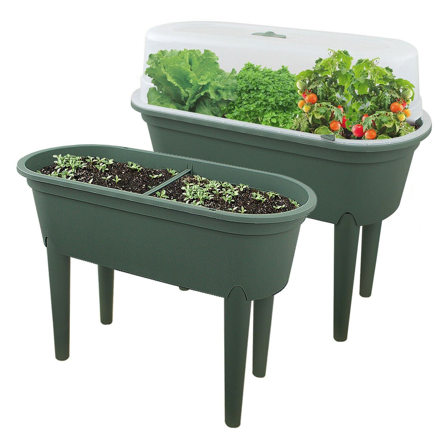 Green Colour Greenhouse Table With Lid by Geezy - UKBuyZone