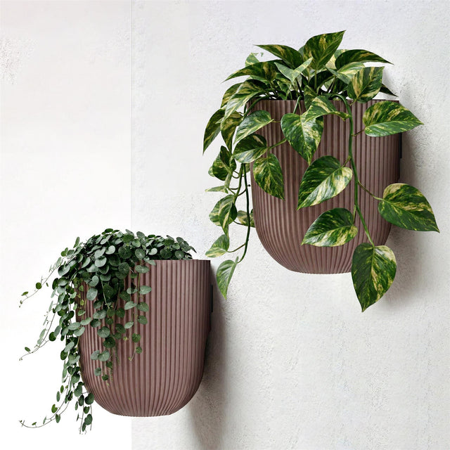 Two ribbed brown wall planters hold lush green foliage, featuring trailing and vining plant types.
