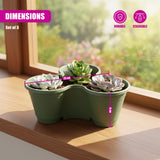 A set of three rectangular green planters filled with small succulents on a windowsill.