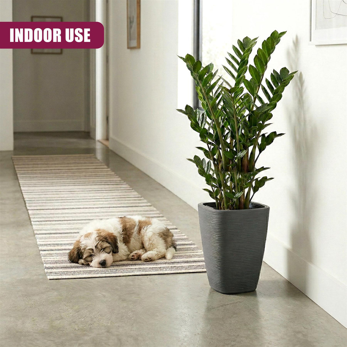 Tall gray flower pot containing a lush green houseplant is displayed on a patterned floor.
