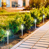 Modern solar path lights stand among dense green shrubs lining a structured patio walkway.