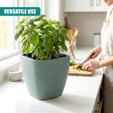 Ribbed, pale green square pot holding a lush basil plant displayed on a light kitchen counter.