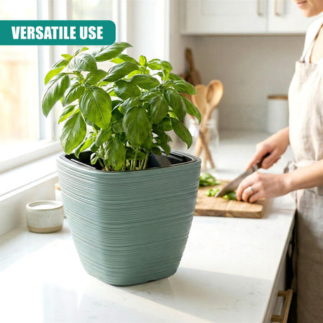 Ribbed, pale green square pot holding a lush basil plant displayed on a light kitchen counter.