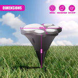 Paw Print Solar Stake Light, Set of 4