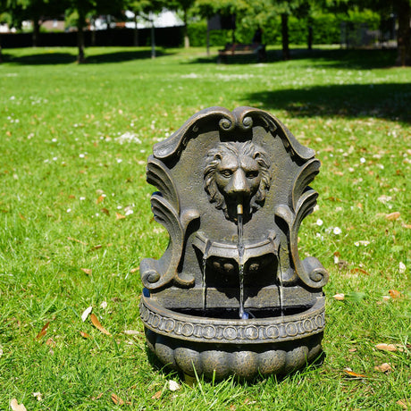 Lion Water Feature Outdoor With LED by GEEZY - UKBuyZone