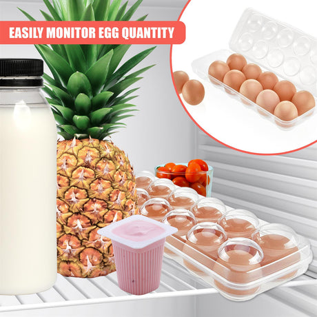 12 Eggs Holder With Lid by GEEZY - UKBuyZone