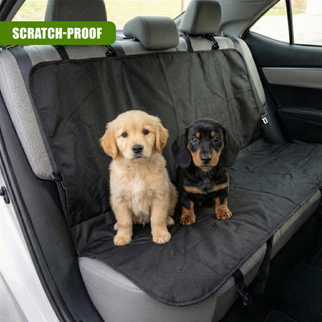 Two puppies sit on a dark gray, scratch-proof car seat cover.
